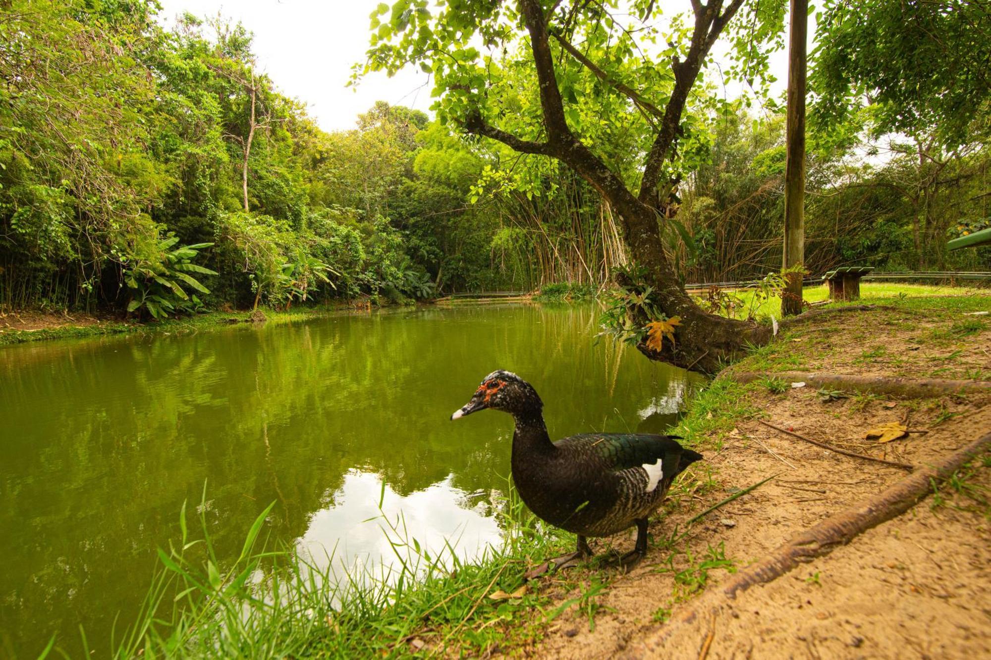 Hotel Fazenda Fonte Colina Verde 상페드루 외부 사진