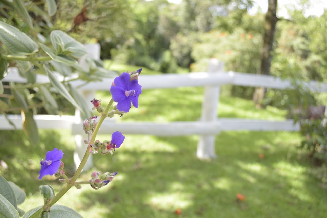 Hotel Fazenda Fonte Colina Verde 상페드루 외부 사진